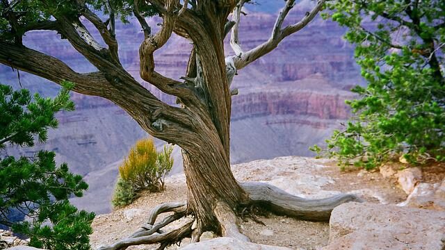 Grand Canyon Average Weather In October