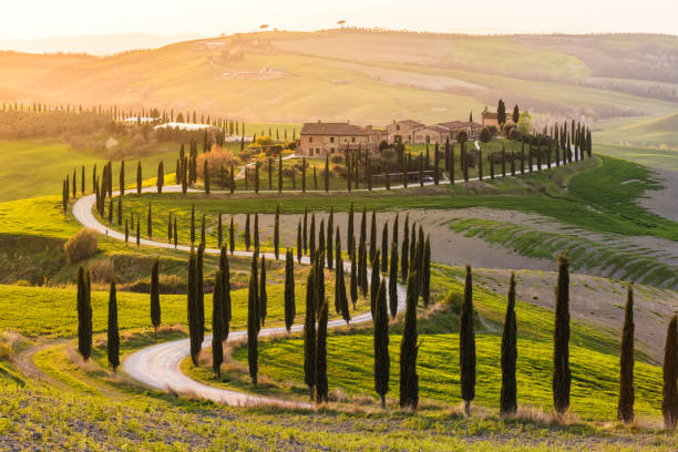 Italy's Tuscany