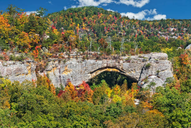 Things to Do in the Red River Gorge Waterfalls